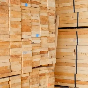 Zachte of harde houtsoort