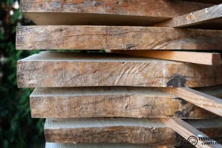 Kan douglas hout rotten?