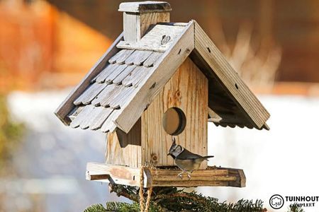 Bouw zelf een houten Vogelhuisje