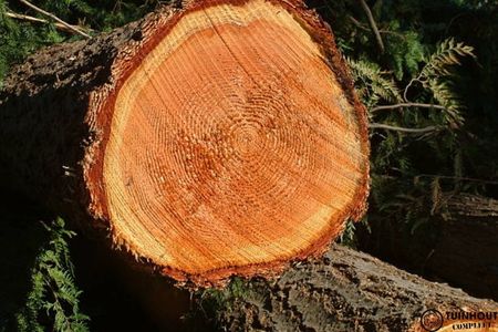 Voordelen van douglas hout