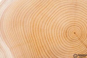 Eigenschappen van douglas hout